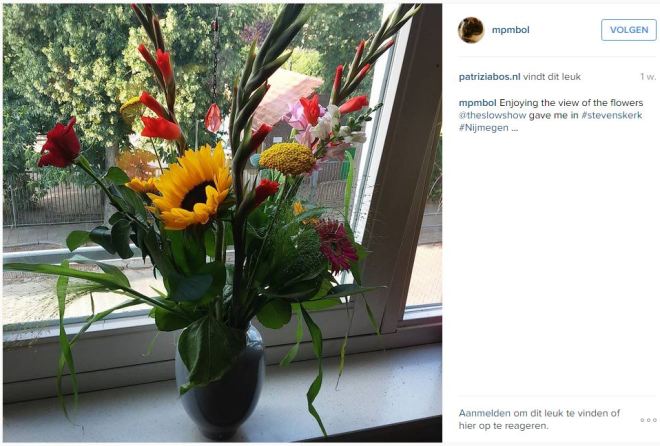 Theslowshow_instagram