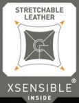 Xsensible Logo
